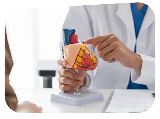 Cardiología especializada en insuficiencia cardíaca
